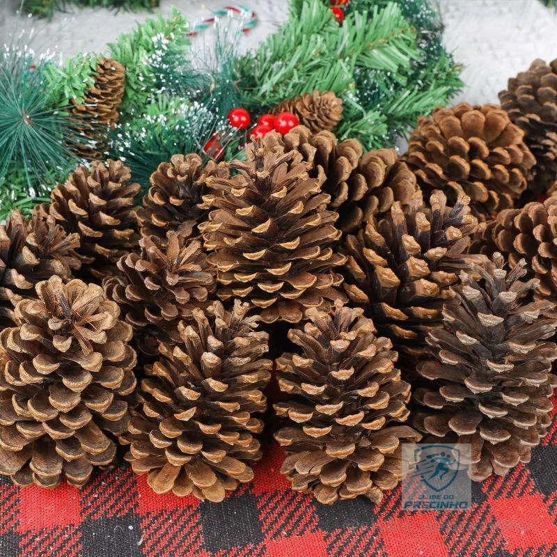 kit 25 pinhas naturais direto do campo para enfeite de natal Roedores calopsita e artesanato