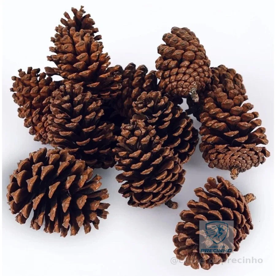 Kit 20 Pinha Decoração Enfeite Natal Artesanato Natural Aves