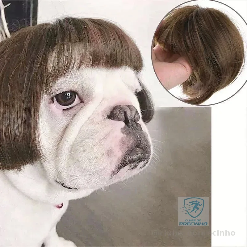 Universal Pet Peruca Cosplay Traje Engraçado Cão Gato Cabelo Festa Fotografia Halloween Natal Adereços Presente