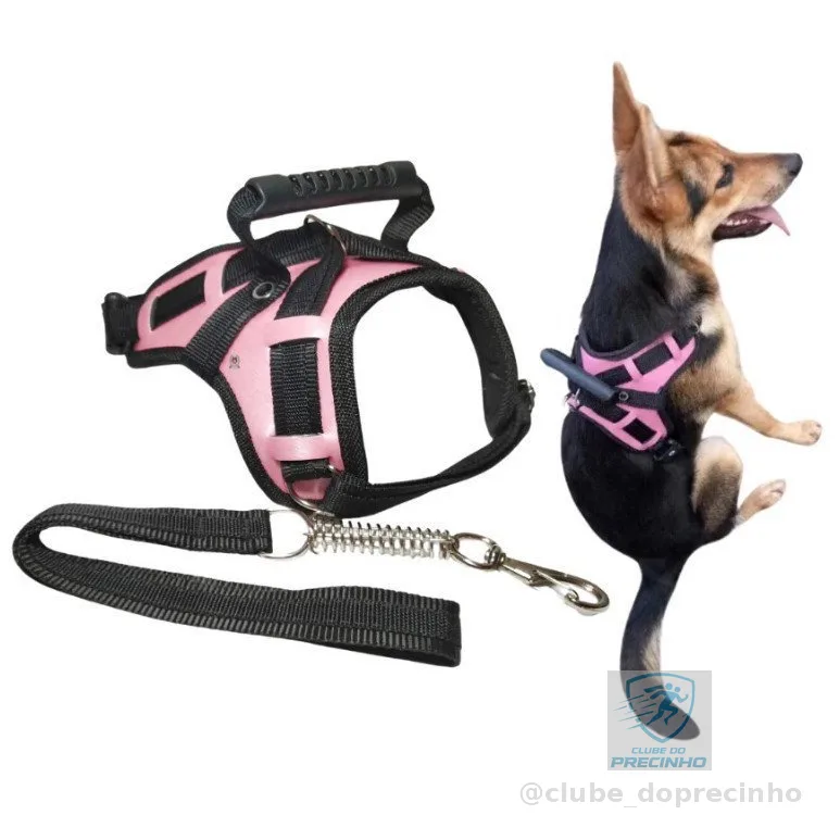 Guia Coleira Black Friday Peitoral Cachorro Médio e Grande Pitbull Pastor Alemão Labrador Husky cane