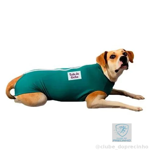 Roupa Pós Cirúrgica Tudo De Bicho Zíper Verde - Tam. 14