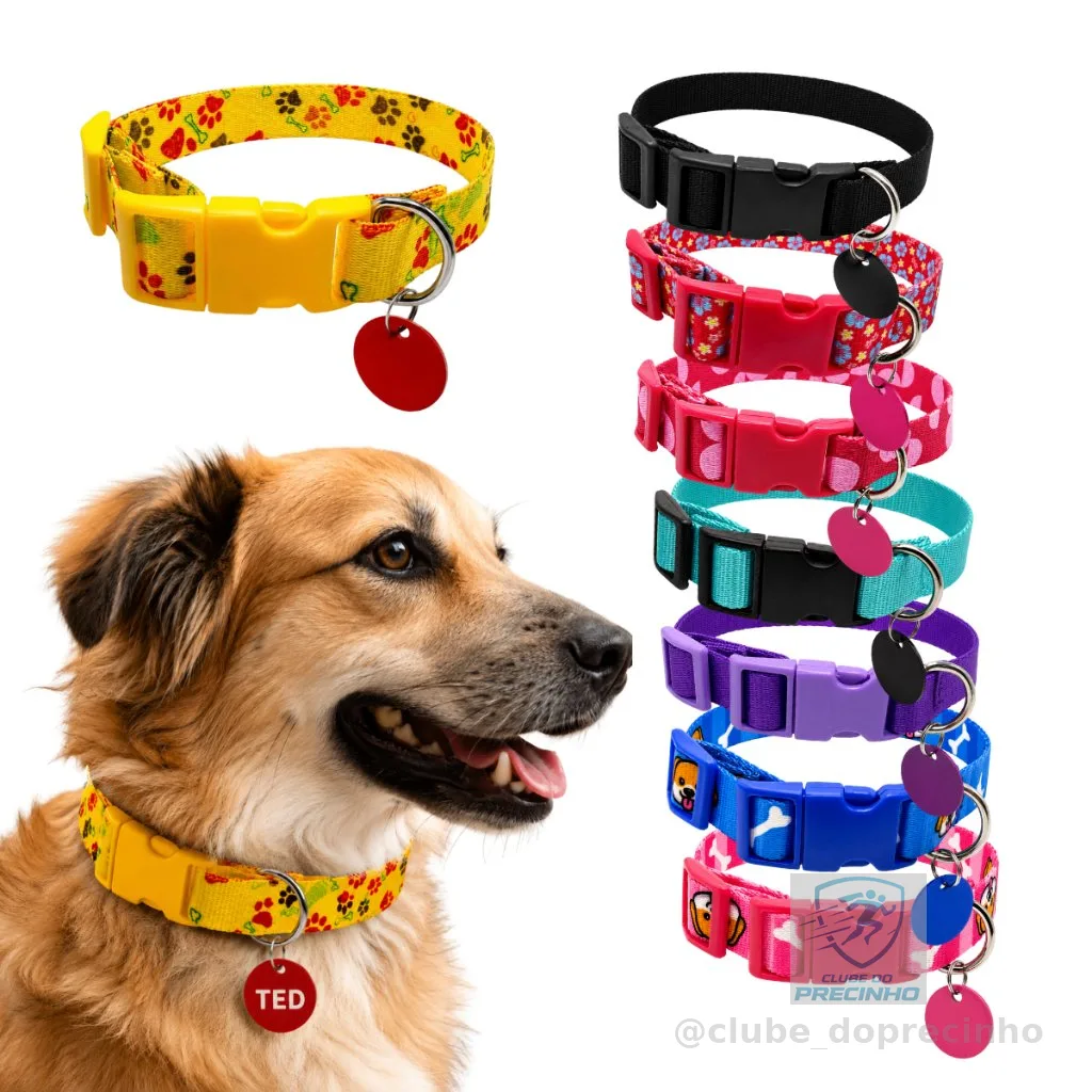 Coleira Para Cachorro  Plaquinha  de Identificação Luxo Passeios Cães  Personalizado Nome do Pet