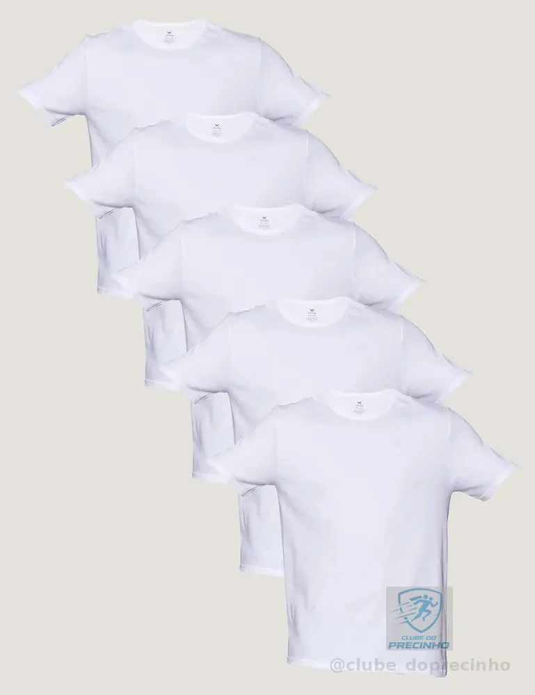 Kit 5 Camisetas Básicas Masculinas Algodão Branca Hering  Branco G Liso
