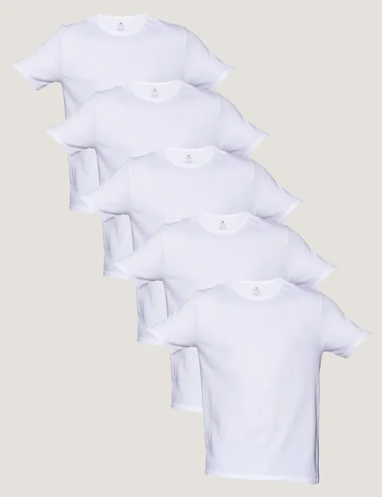 Kit 5 Camisetas Básicas Masculinas Algodão Branca Hering  Branco M Lisa