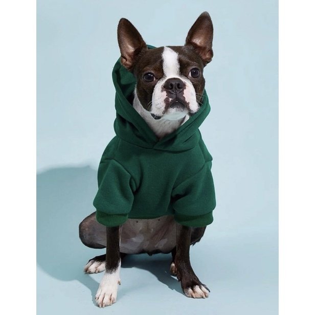 Moletom Pet Cachorro Gato Verde Escuro Capuz