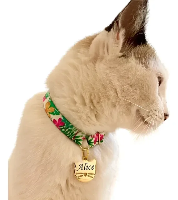 Coleira De Gato Anti Enforcamento Plaquinha Nome E Telefone