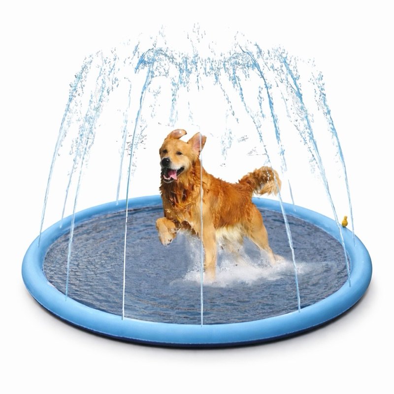 Piscina Tapete Chafariz Inflavel Agua Criança Cachorro Pet