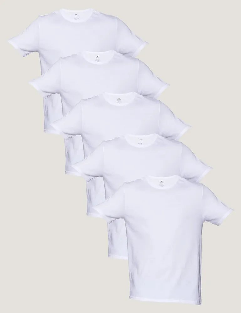 Kit 5 Camisetas Básicas Masculinas Algodão Branca Hering  Branco P Liso