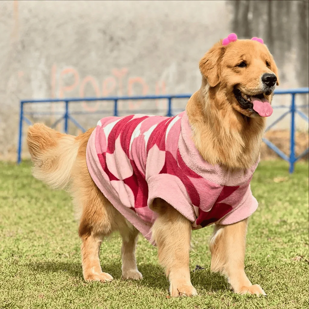 Roupa para Pet Frio Inverno Cachorro e Gato Pequeno a Grande Porte Tecido Macio de Microfibra