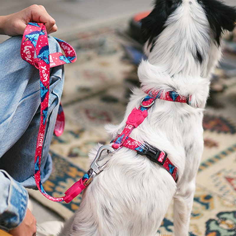 Little B Cub Impressionante Fácil de Usar Zeedog Dog Street Wear Peito Costas em Forma de H Cinta Peitoral Colete para C
