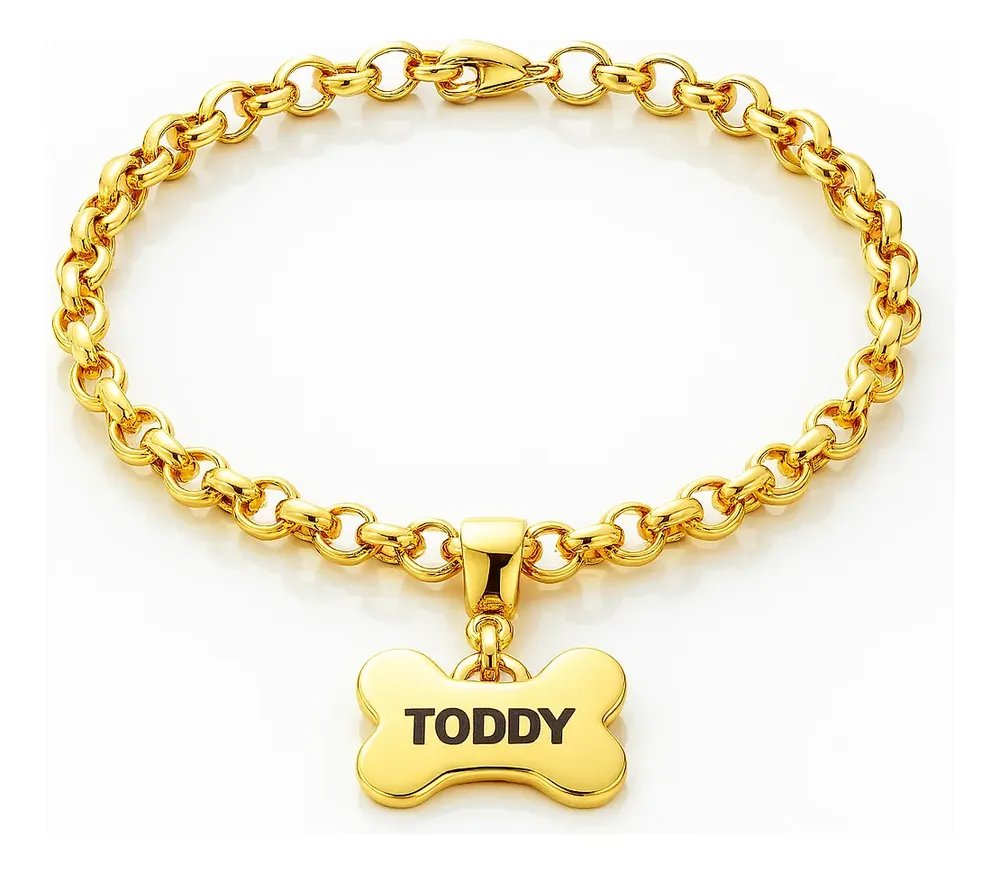 Coleira Pet Folheado Ouro 18k Personalizada Nome Cachorro Dourado Ossos P