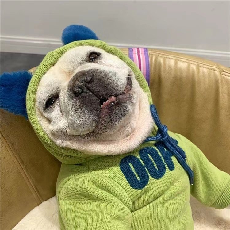 Moletom Com Capuz Para Animais De Estimação Forro De Lã Grosso Francês Buldogue Poodle Ted