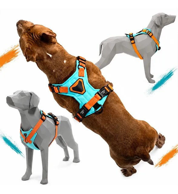 Peitoral H Coleira Cão Anti-puxão Confortável Ajustável Pet