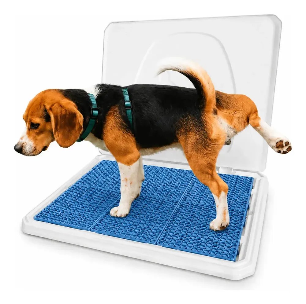 Sanitário Canino Pipi Place Higiênico Para Cachorro
