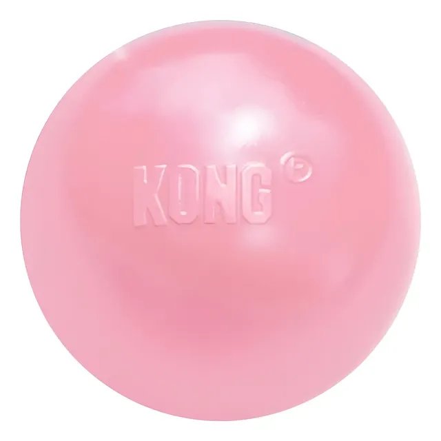 Bola Kong Puppy Ball Para Filhotes Cores Azul Ou Rosa Tam: M