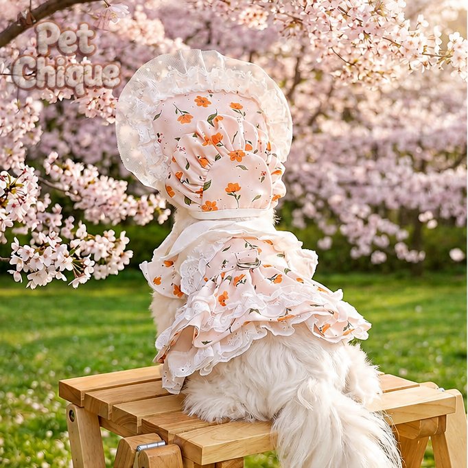 Pet Chique-Saia para animais de estimação Cachorro Gato Estilo Celebridade Saia Floral Chapéu de Sol
