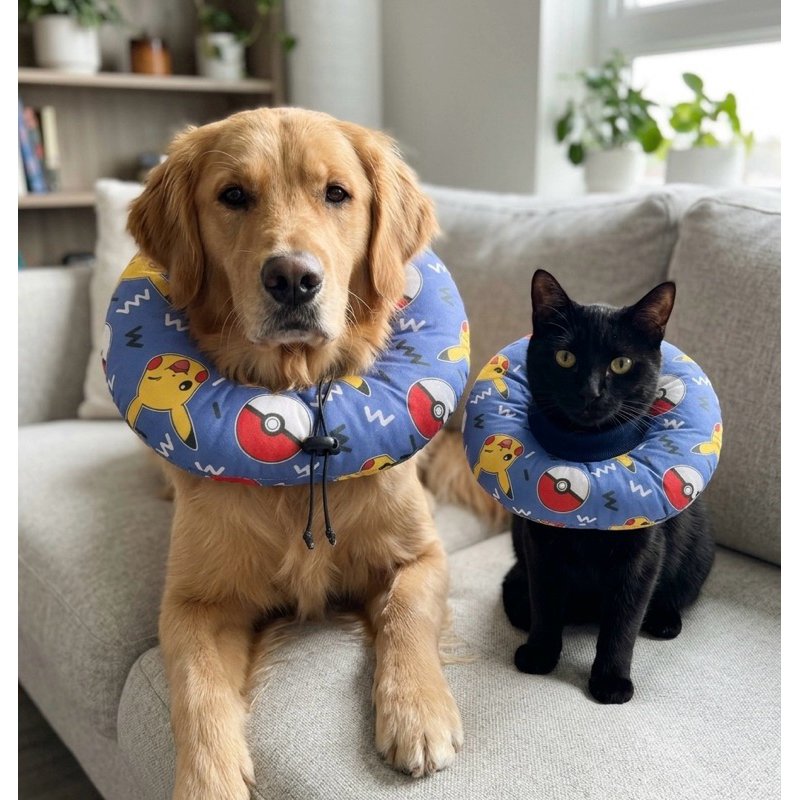 COLAR ELIZABETANO ALMOFADADO CONFORTAVEL FOFINHO PARA GATOS E CAES