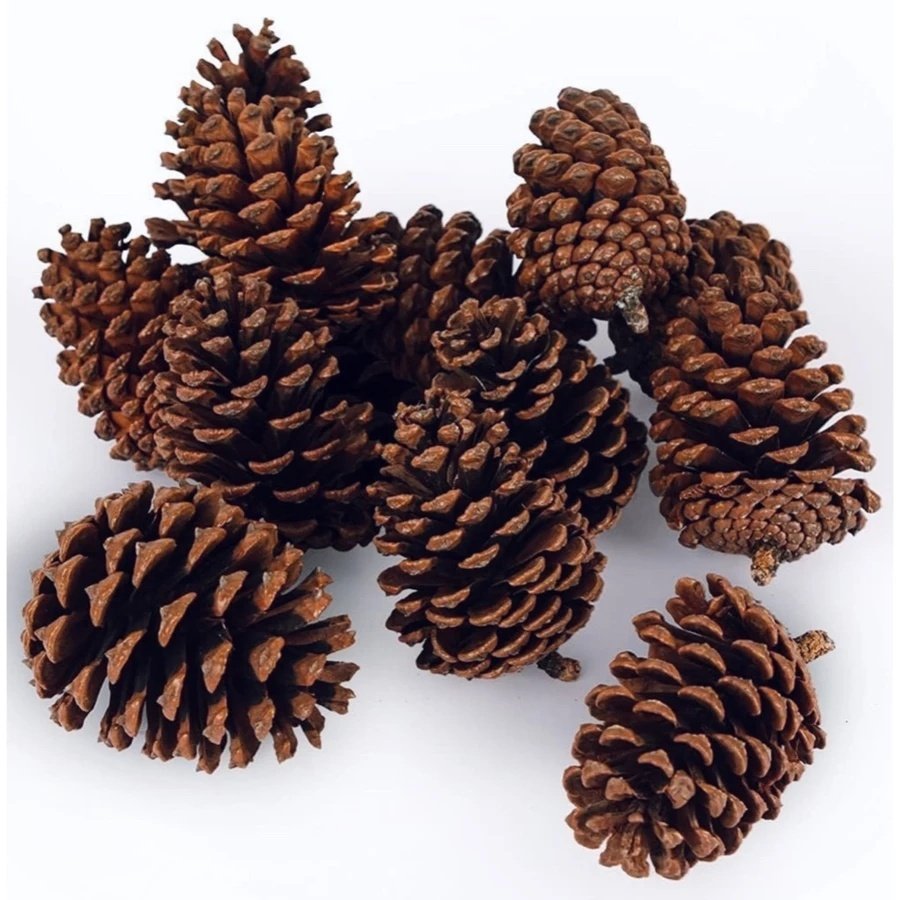 Kit 20 Pinha Decoração Enfeite Natal Artesanato Natural Aves