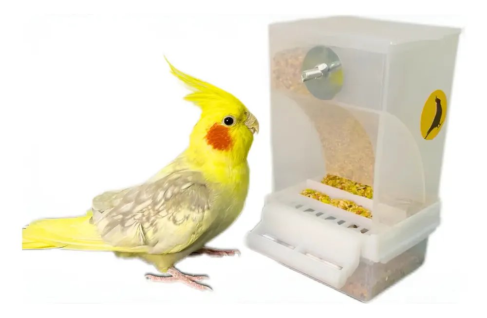 Comedouro De Sementes Para Calopsitas Automatico Fim Sujeira Branco