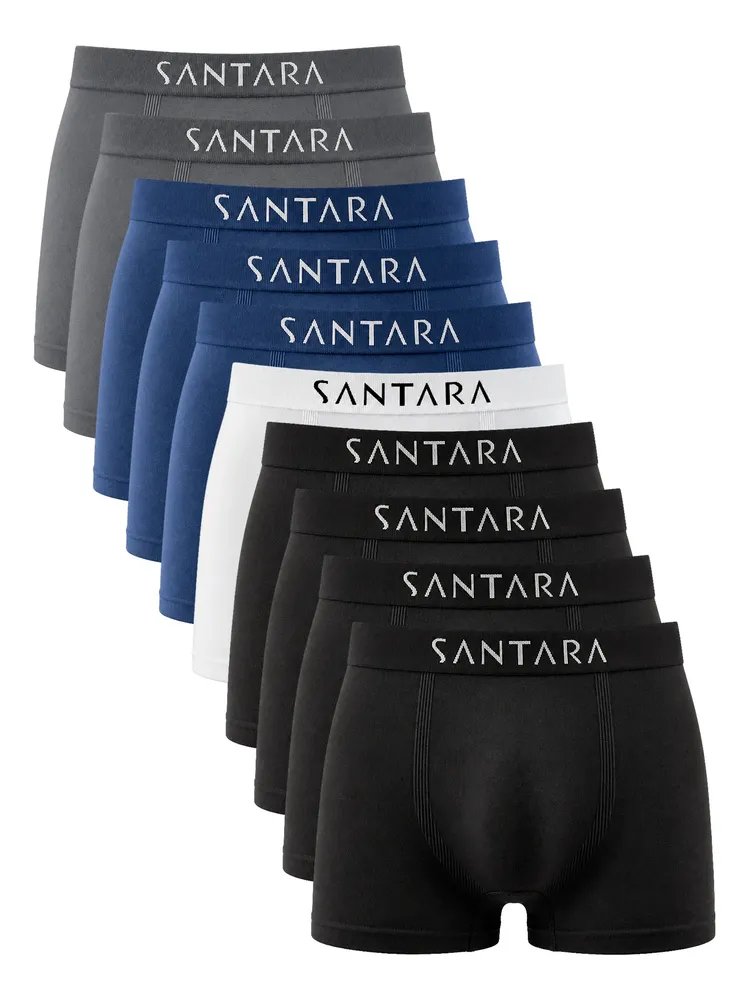 Kit Com 10 Cuecas Boxer Microfibra Sem Costura Santara Sortidas Liso M