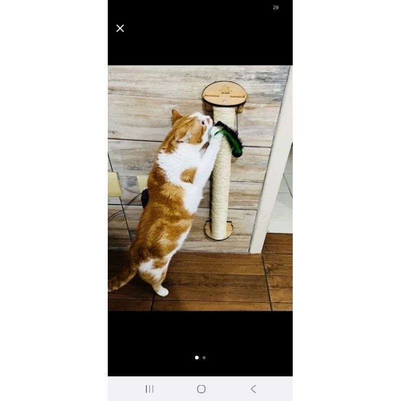 Arranhador Resistente para Gatos Ativos Parede Brinquedo Pet Poste Sisal