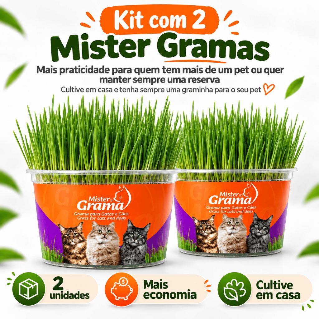 Grama Para Gato Mister C/ 2 Unidades – Auxilia na Digestão e Bola de Pelo / Fácil de Plantar