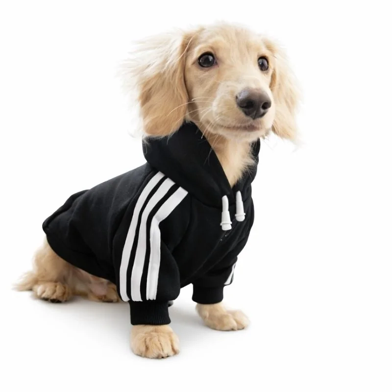 Moletom PELUCIADO para cachorro  Pet moletom com touca moletom bem quente moletom para cachorro pequeno médio e grande