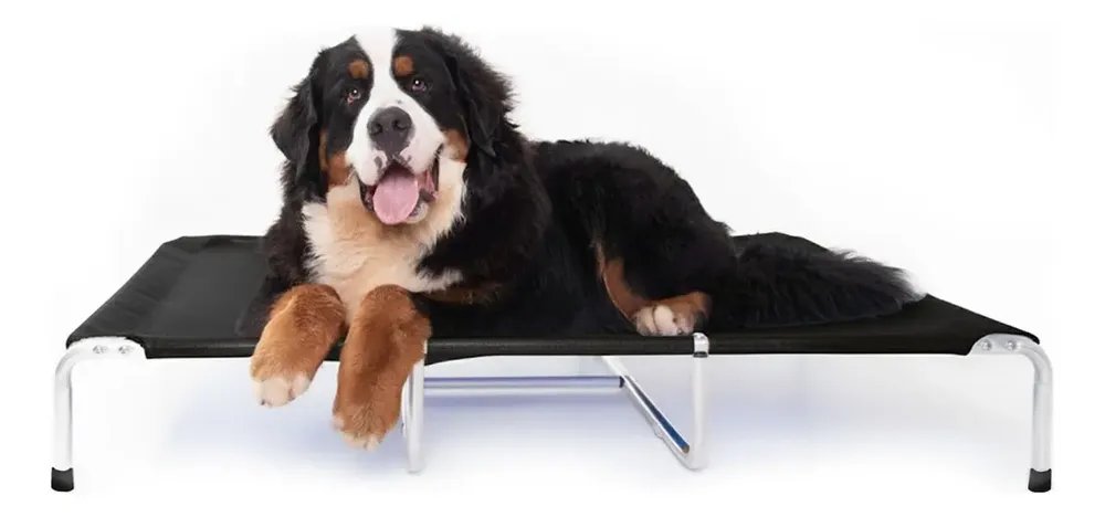 Cama Suspensa Elevada Pet Cães 120x90cm Tamanho Xl Até 90kg Cor Preta