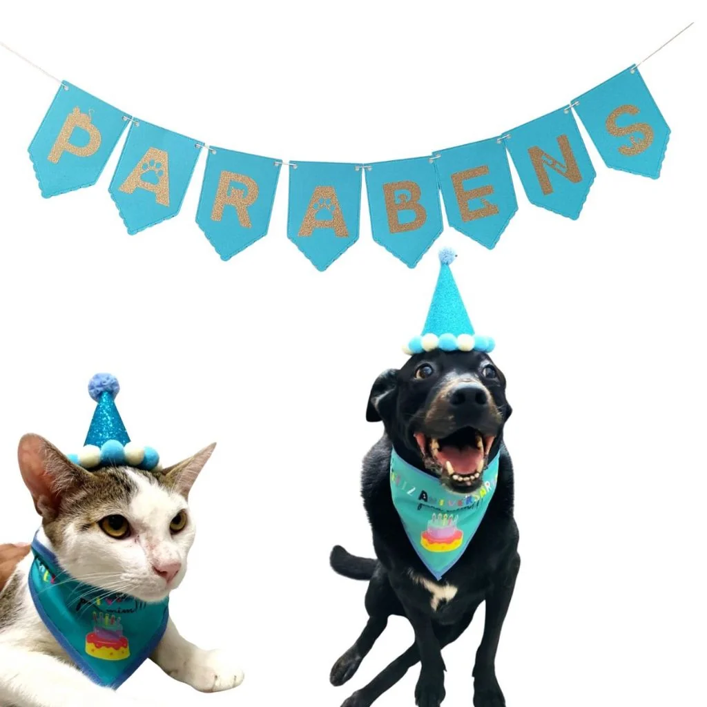Kit Festa Aniversário Pet Cachorro Gato c/ Chapéu e Bandana + Faixa Parabéns para Fotos - 3 Tamanhos