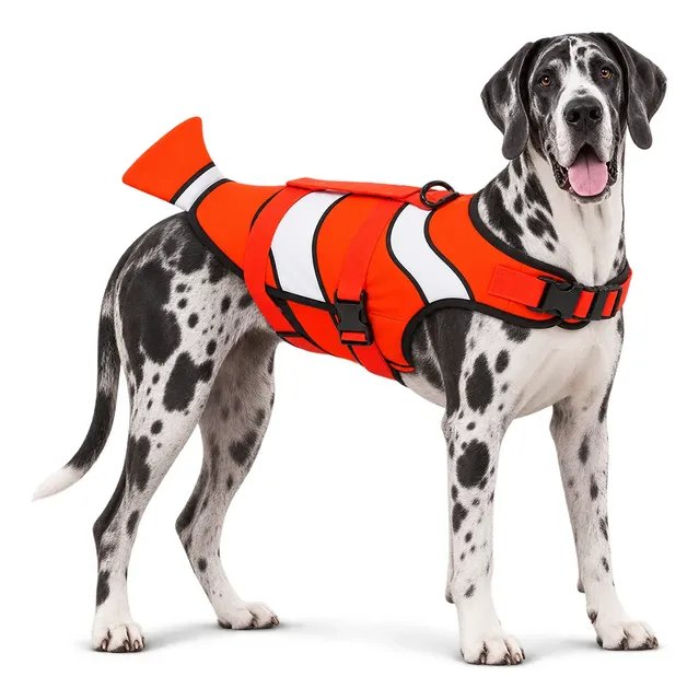 Colete Salva Vidas Cão Xgg Grande 28-55kg Neoprene Animaux