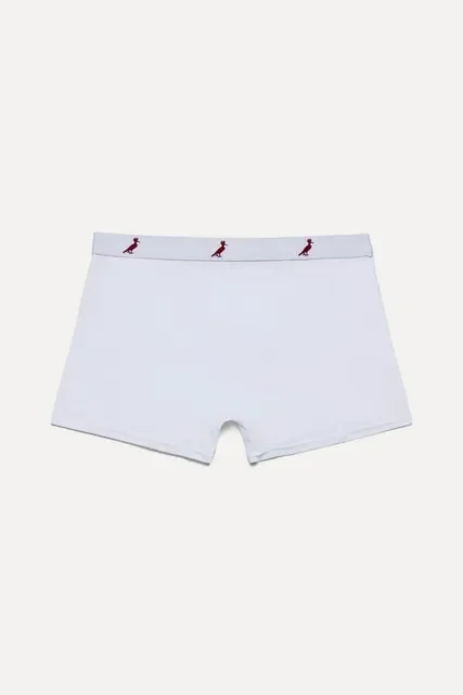 Kit 3 Cuecas Boxer Algodão Reserva