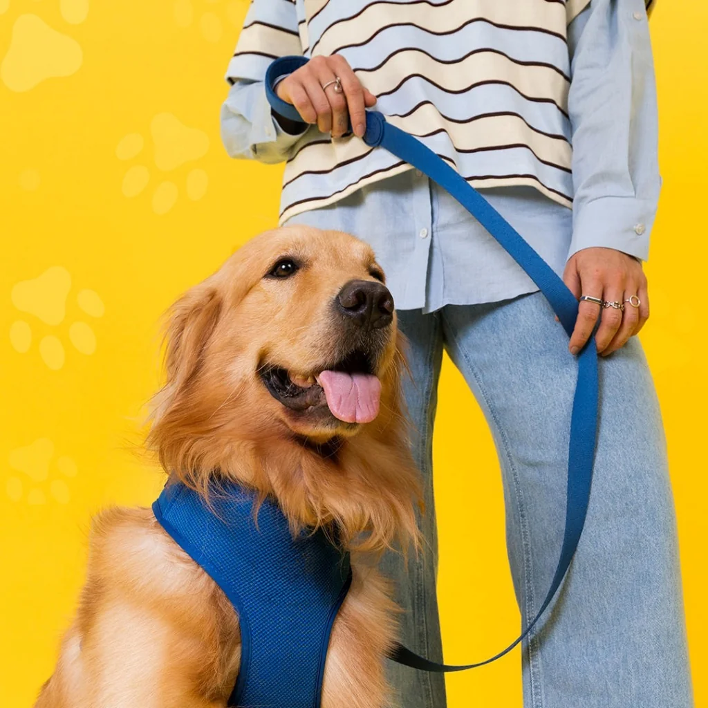Guia Pet Para Cachorro GoPets Clear