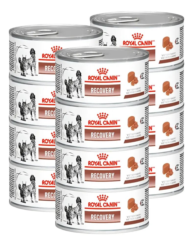 Kit 12 Royal Canin Recovery Veterinary Lata 195g