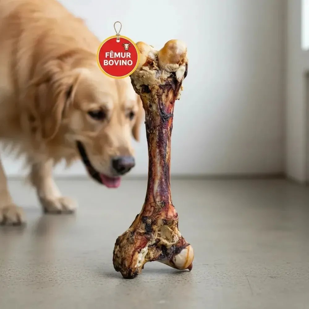 Osso Fêmur Bovino Gigante Defumado Petisco Para Cães Natural