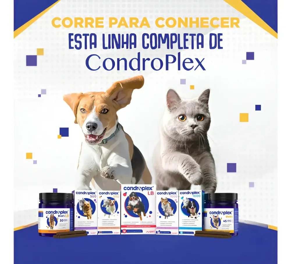 Condroplex 500 Avert 60 Cápsulas Suplemento Cães Gatos Pequeno Porte