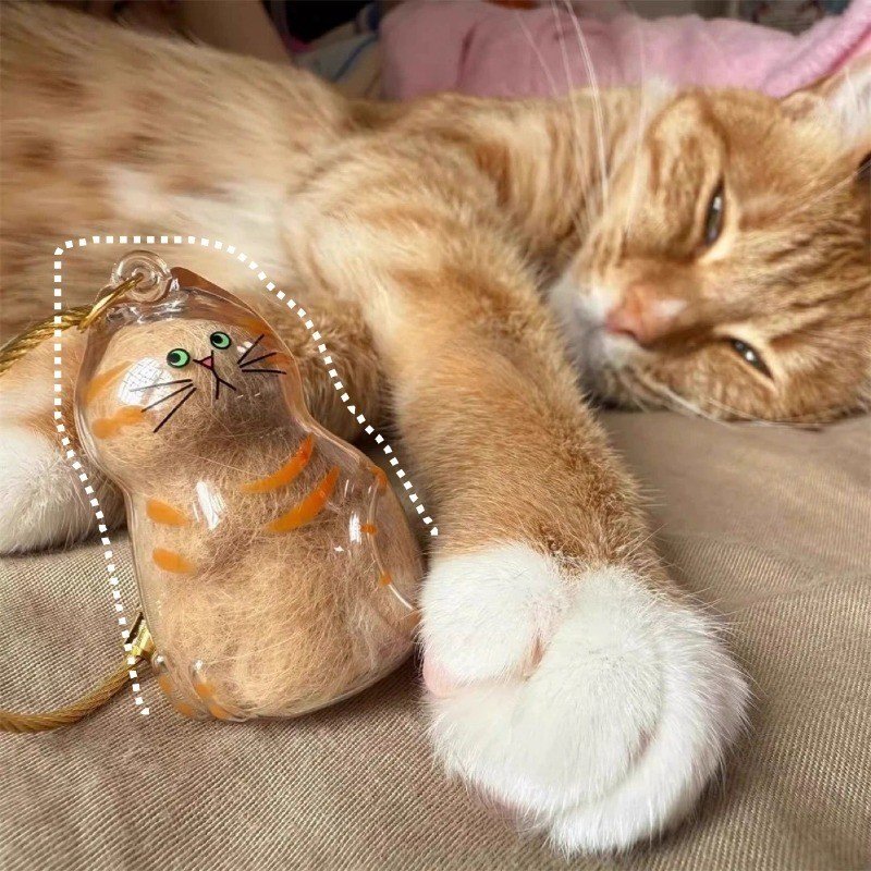 O Novo Pingente Transparente De Caixa De Armazenamento De Pêlos De Gato Tem Uma Variedade De Estilos Para Escolher , Cha