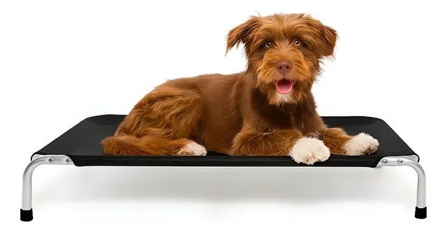 Cama Para Cachorro Médio Suspensa Elevada 75x50cm Dogets