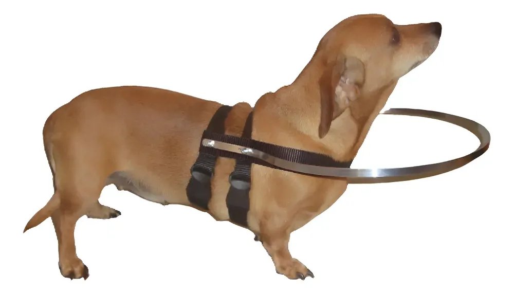 Coleira Cães Cegos De 3k A 8k- Sob Medida - Leia O Anuncio Alumíno Com Fita Preta Amigo's Car P - Para Pets Acima De 3 Kg Até 8 Kg
