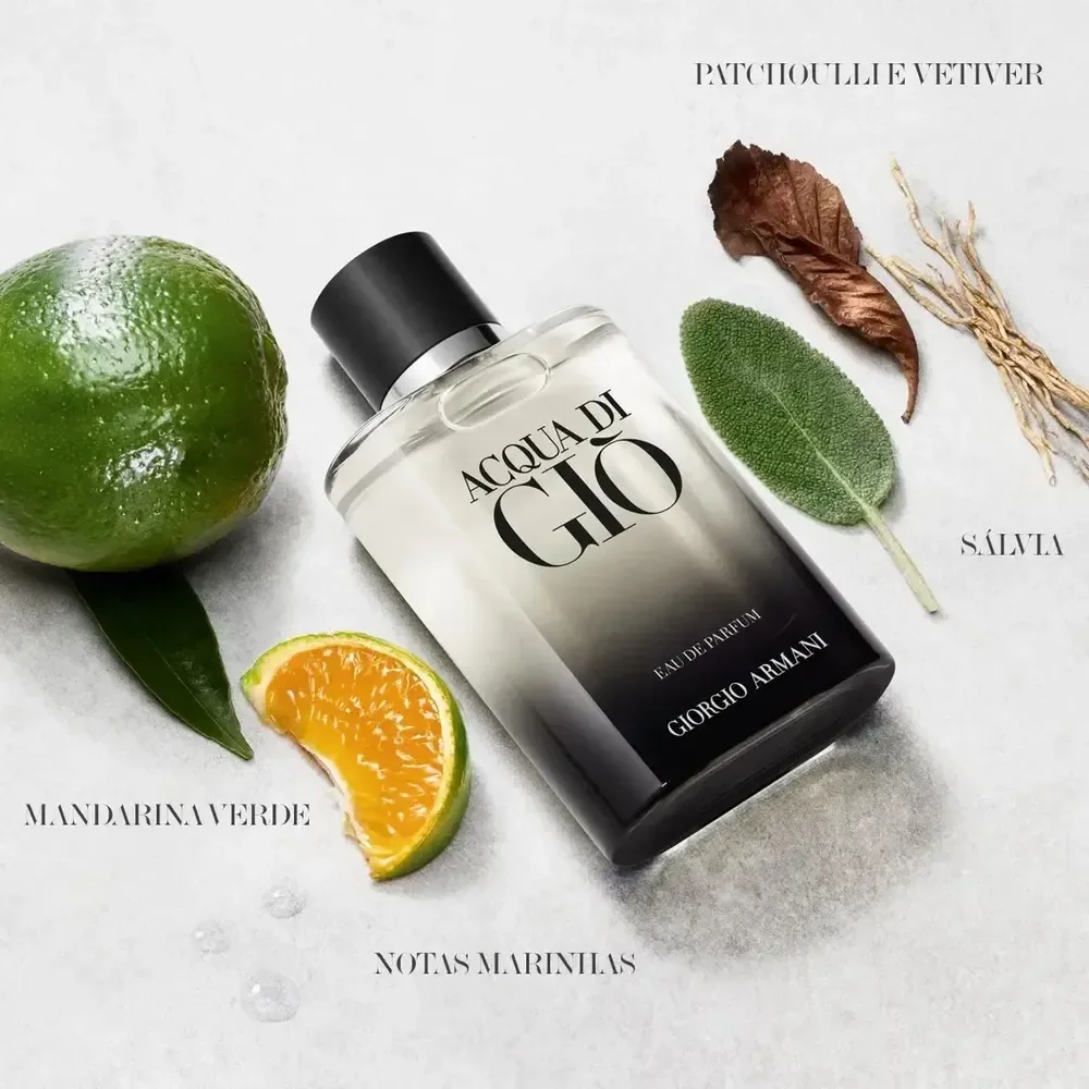 Perfume Masculino Giorgio Armani Acqua di Giò Eau de Parfum Refilável 100ml