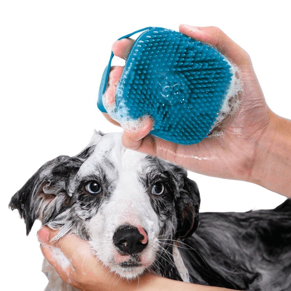 Escova Porta Shampoo Cerdas Macias Para Banho Pet Cachorro E Gato Chalesco