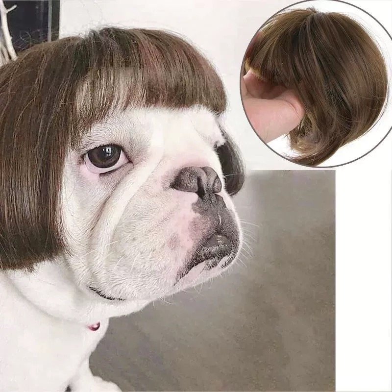 Universal Pet Peruca Cosplay Traje Engraçado Cão Gato Cabelo Festa Fotografia Halloween Natal Adereços Presente