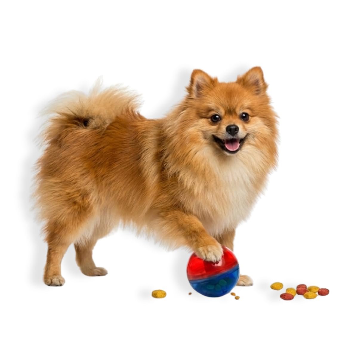 Pet Games Comedouro Brinquedo Pet Ball Mini
