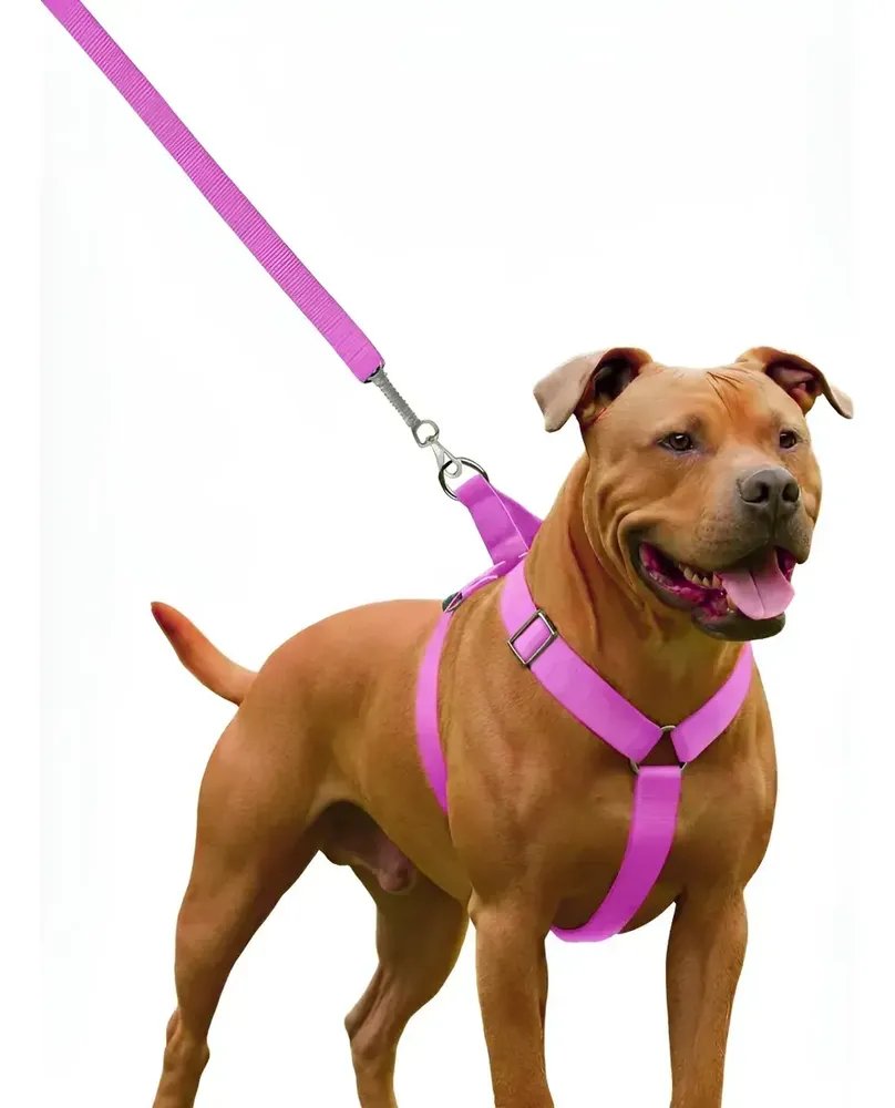 Coleira Peitoral Guia Para Cachorro Pit Bull Reforçada Rosa-chiclete