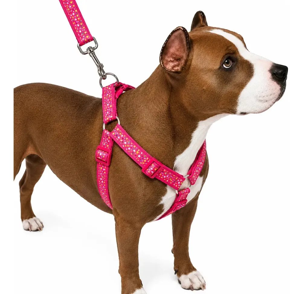 Peitoral Coleira Cachorro Médio Grande Porte Mosquetão Ultra Cor Vermelho