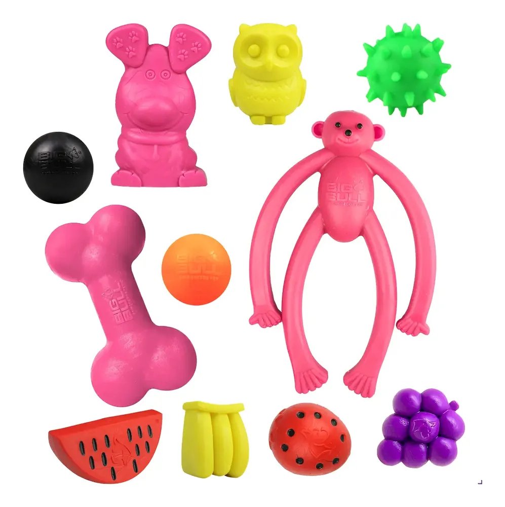 Brinquedo De Borracha Kit Para Cães Destruidores Pet Shop Feminino