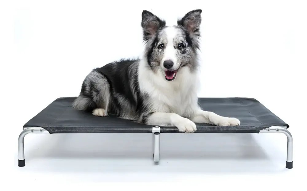 Cama Para Cachorro Grande Suspensa Cama Pet 90x60cm Dogets Preta