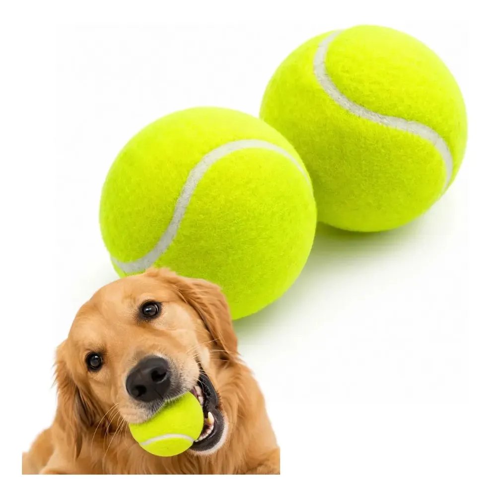 Bola De Brinquedo Para Cachorro Savana Pet 5cm