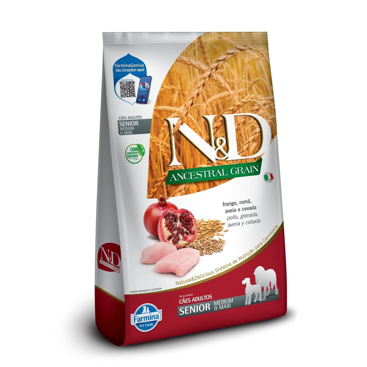 N&D ANCESTRAL Nd Ancestral Can Frango Senior Medium 10 1Kg
