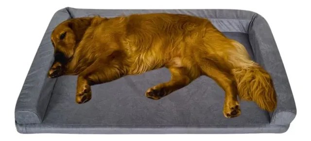 Cama Pet Querido Sofá Cama Ortopédica 120x80cm Lavável