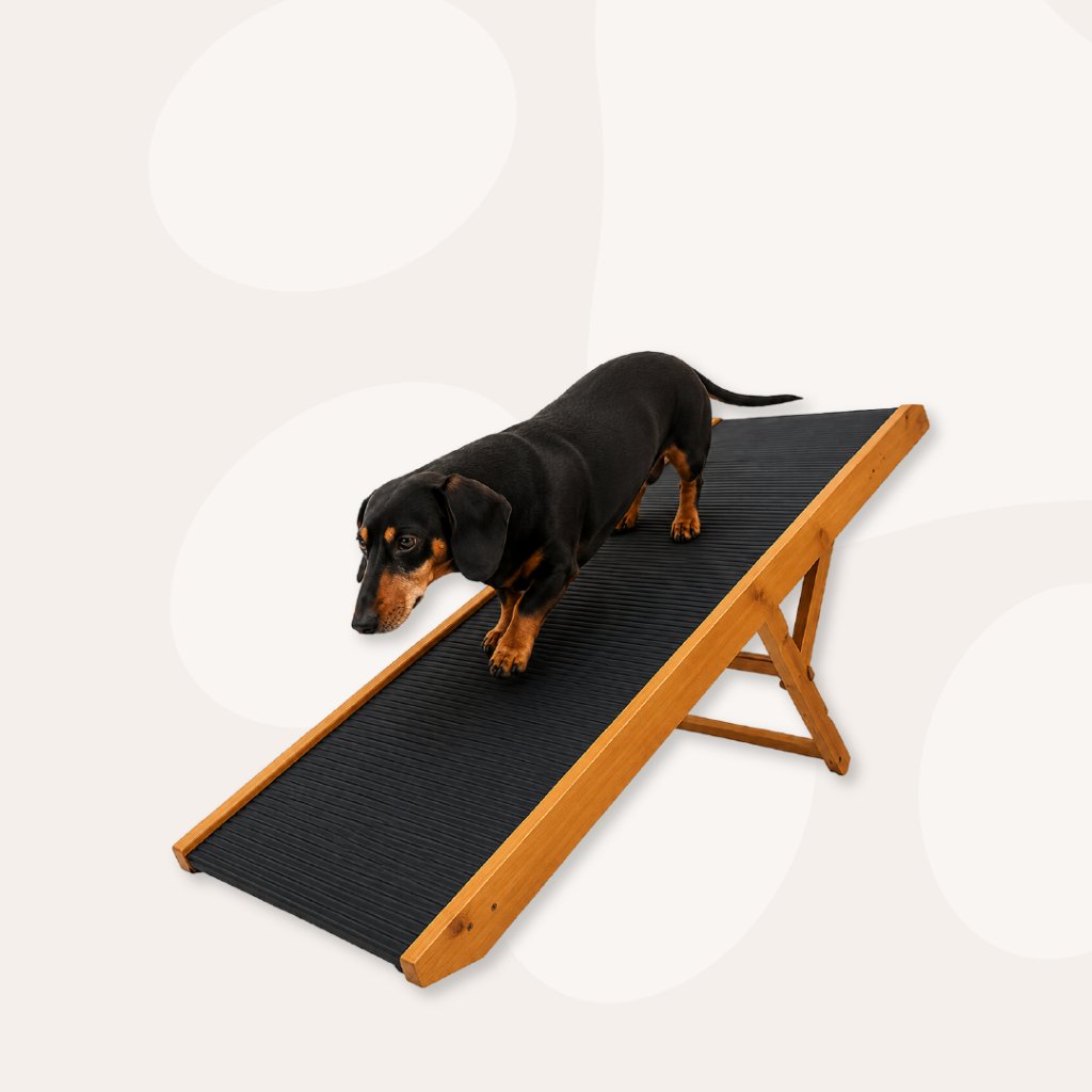 Rampa Pet Grande 70cm Resistente 3 Niveis de Altura Cama